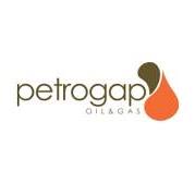 Female Accountant at Petrogap Oil and Gas Limited